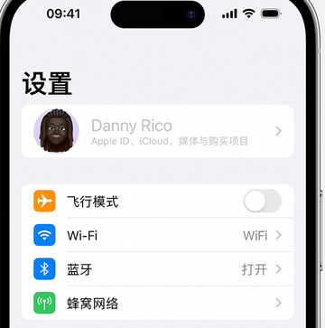 罗定appleID维修服务iPhone设置中Apple ID显示为灰色无法使用 