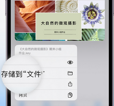 罗定apple维修中心分享iPhone文件应用中存储和找到下载文件