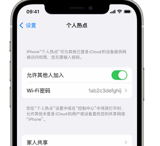 罗定apple服务站点分享iPhone上个人热点丢失了怎么办 