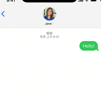 罗定apple维修iPhone上无法正常发送iMessage信息