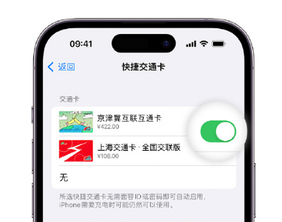 罗定apple维修点分享iPhone上更换Apple Pay快捷交通卡手绘卡面 