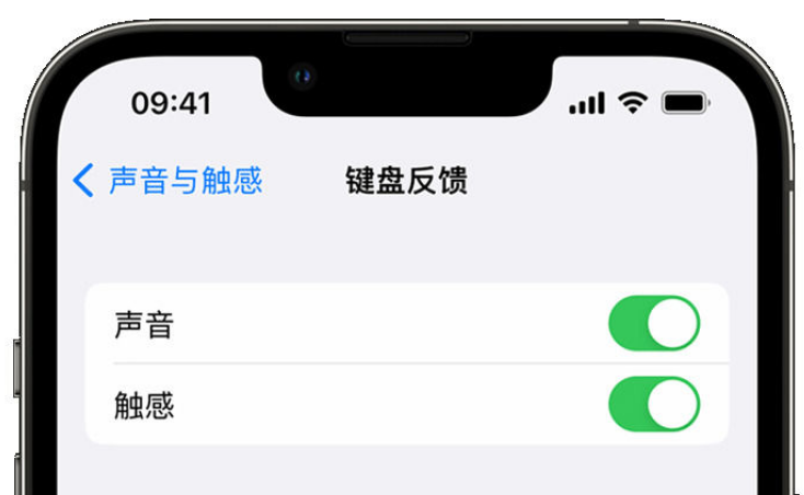 罗定苹果手机维修分享iPhone 14触感键盘使用方法 
