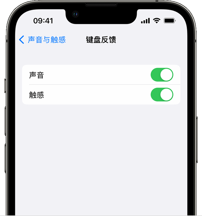 罗定苹果14维修店分享如何在 iPhone 14 机型中使用触感键盘 