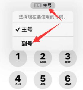 罗定苹果14维修店分享iPhone 14 Pro Max使用副卡打电话的方法 