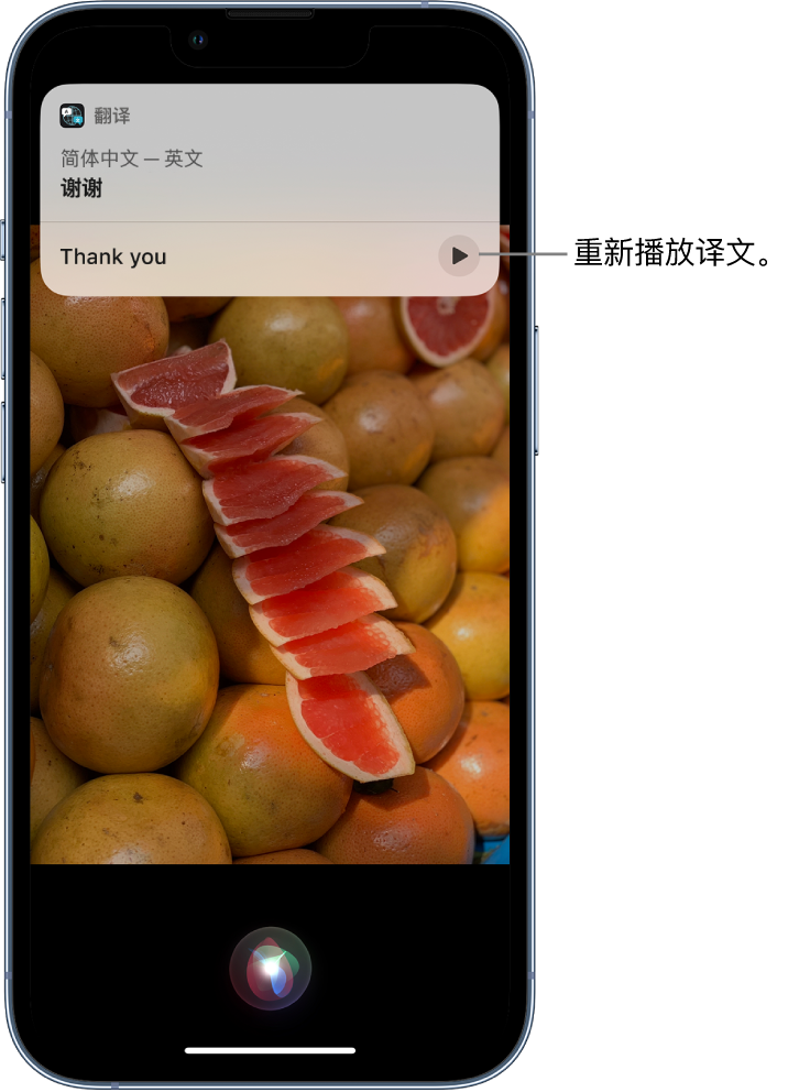 罗定苹果14维修分享 iPhone 14 机型中使用 Siri：了解 Siri 能帮你做什么 