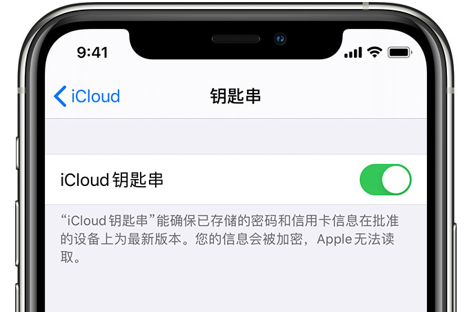 罗定苹果手机维修分享在 iPhone 上开启 iCloud 钥匙串之后会储存哪些信息 