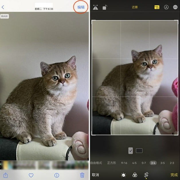罗定苹果手机维修分享苹果 iPhone 12 Pro 拍照会过度锐化 