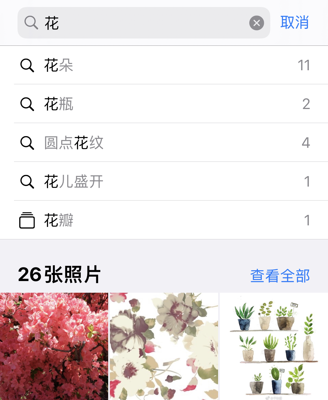 罗定苹果手机维修分享iPhone 小技巧 