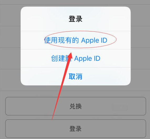 罗定苹果手机维修分享两台iPhone设备可以同时登录一个Apple ID吗 