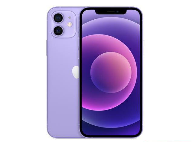 罗定苹果手机维修分享现阶段要不要入手紫色版iPhone12 