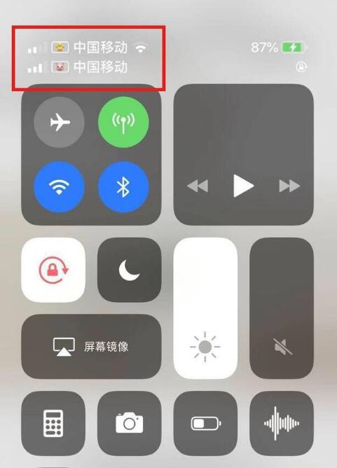 罗定苹果手机维修分享为 iPhone 12 双卡设置标签 